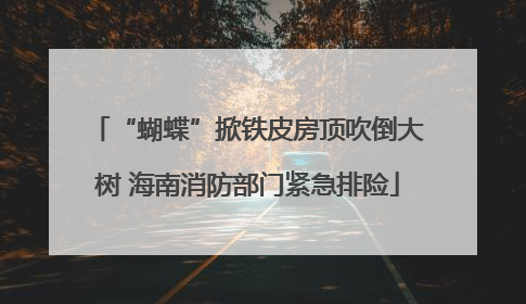 “蝴蝶”掀铁皮房顶吹倒大树 海南消防部门紧急排险