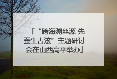 “跨海溯丝源 先蚕生古泫”主题研讨会在山西高平举办
