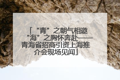 “青”之朝气相邀 “海”之胸怀奔赴——青海省招商引资上海推介会现场见闻