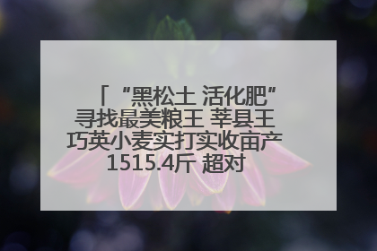 “黑松土 活化肥”寻找最美粮王 莘县王巧英小麦实打实收亩产1515.4斤 超对照田144斤！