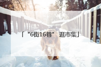 “6街16巷” 逛市集