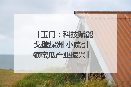 玉门：科技赋能戈壁绿洲 小院引领蜜瓜产业振兴