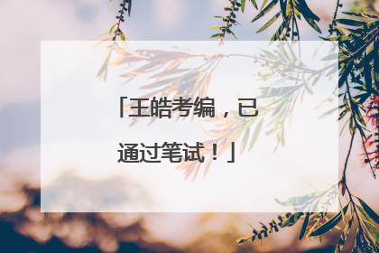 王皓考编，已通过笔试！