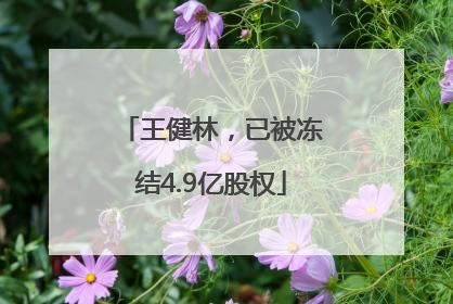王健林，已被冻结4.9亿股权