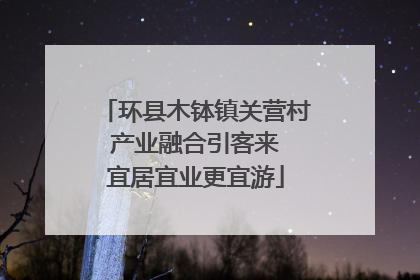 环县木钵镇关营村 产业融合引客来 宜居宜业更宜游