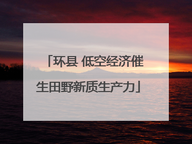 环县 低空经济催生田野新质生产力