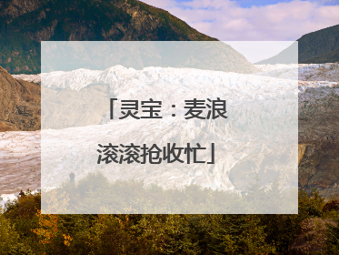 灵宝：麦浪滚滚抢收忙