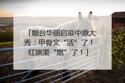 烟台华丽启幕中原大秀：甲骨文“活”了！红旗渠“燃”了！