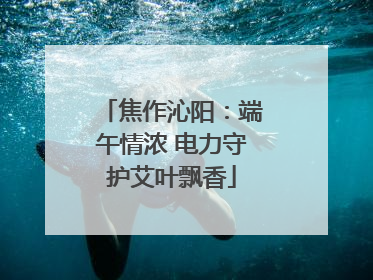 焦作沁阳：端午情浓 电力守护艾叶飘香
