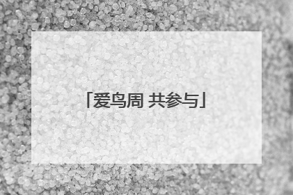 爱鸟周 共参与