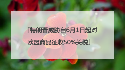 特朗普威胁自6月1日起对欧盟商品征收50%关税
