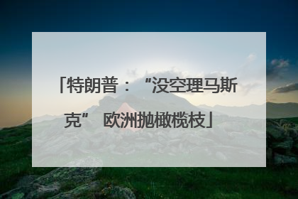 特朗普：“没空理马斯克” 欧洲抛橄榄枝