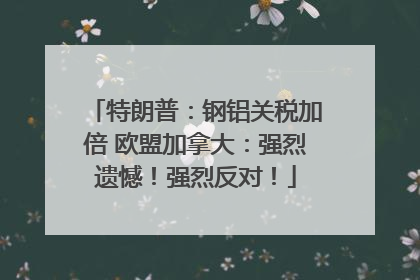 特朗普：钢铝关税加倍 欧盟加拿大：强烈遗憾！强烈反对！