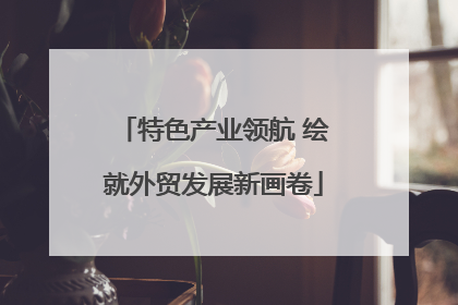 特色产业领航 绘就外贸发展新画卷