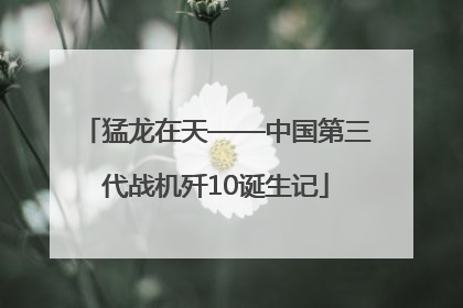 猛龙在天——中国第三代战机歼10诞生记