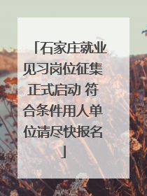 石家庄就业见习岗位征集正式启动 符合条件用人单位请尽快报名