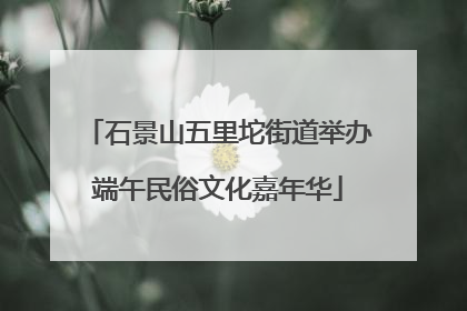 石景山五里坨街道举办端午民俗文化嘉年华