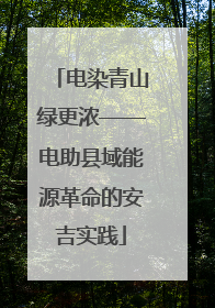 电染青山绿更浓——电助县域能源革命的安吉实践