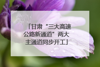 甘肃“三大高速公路新通道”两大主通道同步开工