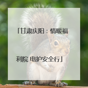 甘肃庆阳：情暖福利院 电护安全行