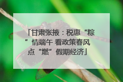 甘肃张掖：税惠“粽”情端午 看政策春风点“燃”假期经济