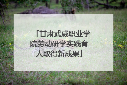 甘肃武威职业学院劳动研学实践育人取得新成果
