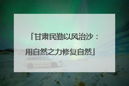 甘肃民勤以风治沙：用自然之力修复自然