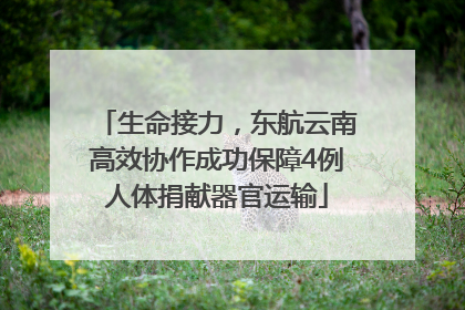 生命接力，东航云南高效协作成功保障4例人体捐献器官运输