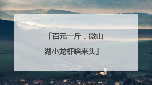 百元一斤，微山湖小龙虾啥来头