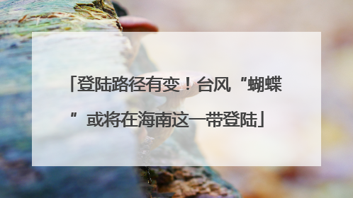 登陆路径有变！台风“蝴蝶”或将在海南这一带登陆