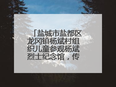 盐城市盐都区龙冈镇杨斌村组织儿童参观杨斌烈士纪念馆，传承红色基因