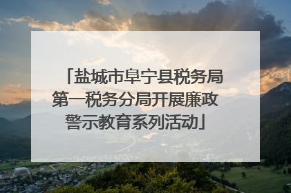 盐城市阜宁县税务局第一税务分局开展廉政警示教育系列活动