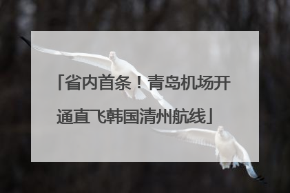 省内首条！青岛机场开通直飞韩国清州航线