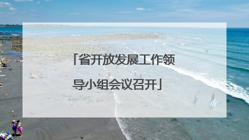 省开放发展工作领导小组会议召开