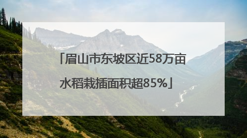 眉山市东坡区近58万亩水稻栽插面积超85%
