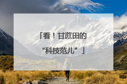 看！甘蔗田的“科技范儿”