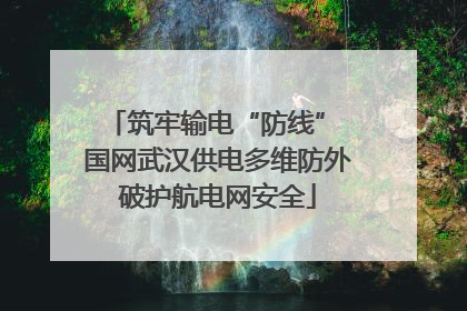 筑牢输电“防线” 国网武汉供电多维防外破护航电网安全