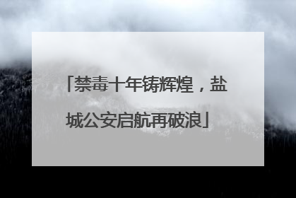 禁毒十年铸辉煌，盐城公安启航再破浪
