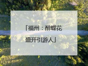 福州：醉蝶花盛开引游人
