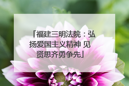 福建三明法院：弘扬爱国主义精神 见贤思齐勇争先