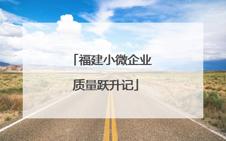 福建小微企业质量跃升记