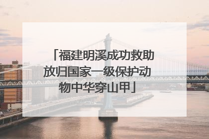 福建明溪成功救助放归国家一级保护动物中华穿山甲