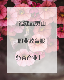 福建武夷山：职业教育服务茶产业