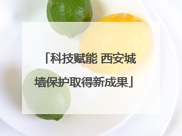 科技赋能 西安城墙保护取得新成果