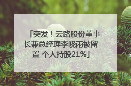 突发！云路股份董事长兼总经理李晓雨被留置 个人持股21%