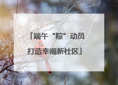 端午“粽”动员 打造幸福新社区