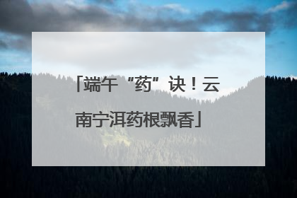 端午“药”诀！云南宁洱药根飘香