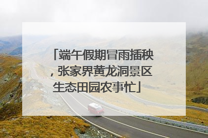 端午假期冒雨插秧，张家界黄龙洞景区生态田园农事忙