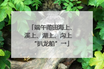 端午莆田海上、溪上、湖上、沟上“扒龙船”→