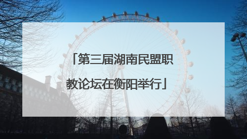 第三届湖南民盟职教论坛在衡阳举行